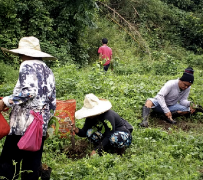 community based rewilding of degraded ecosystems