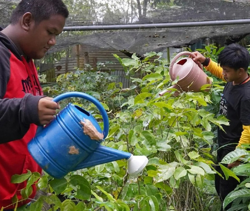 Devastated by a typhoon, community foresters in the Philippines find little support