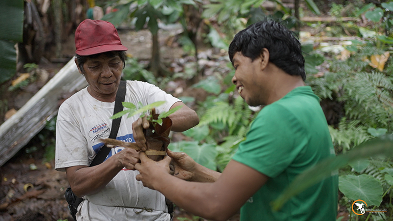 Baco Forest Restoration Project